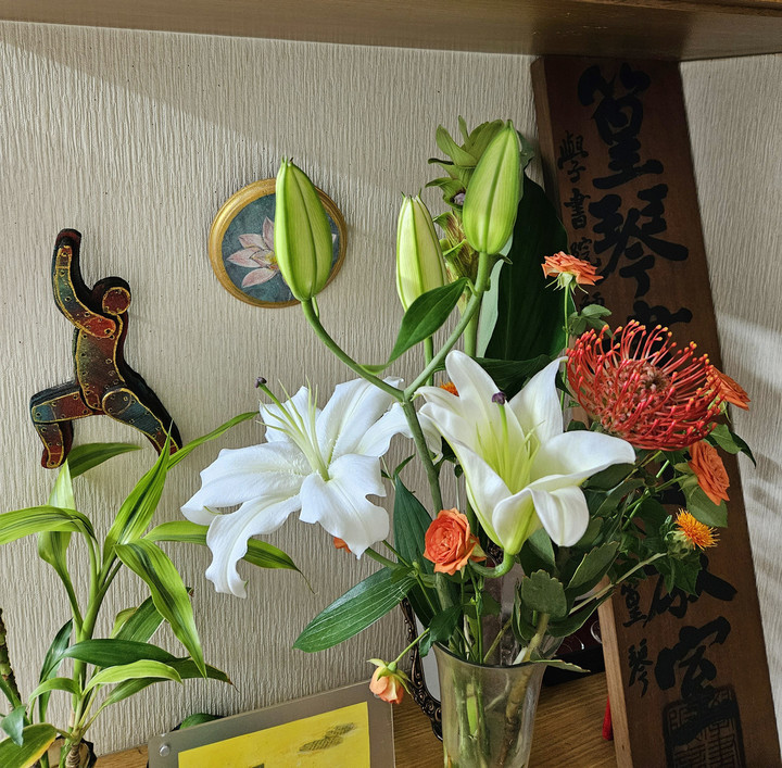 初⭐ボディーワーク修業