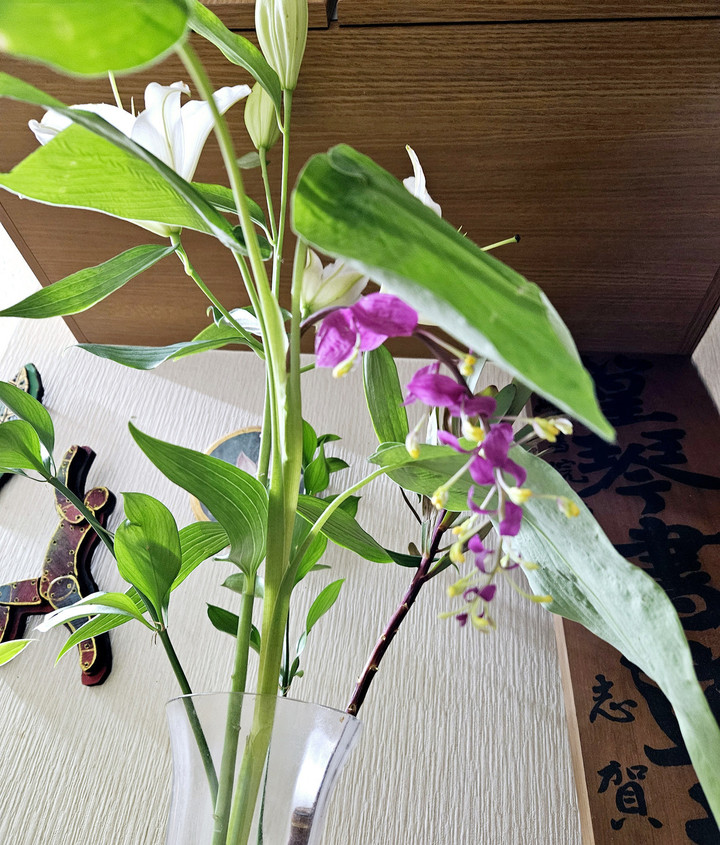 暑熱に耐える花