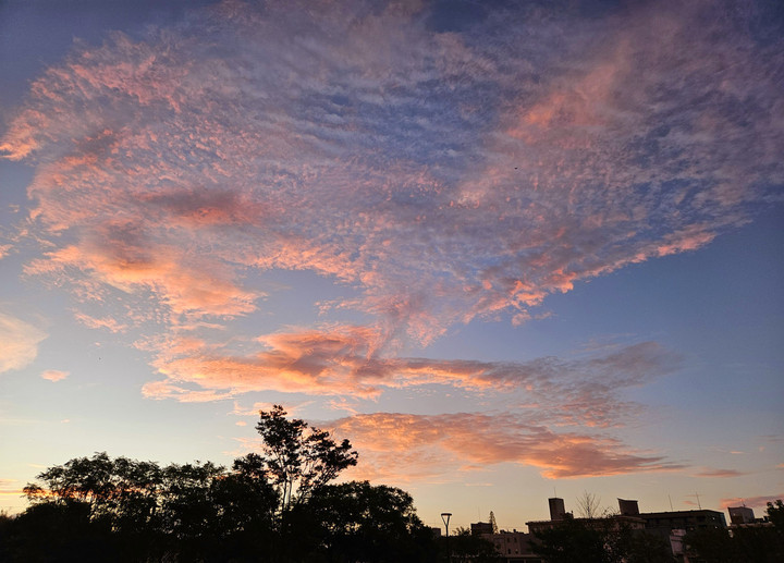 11月のお知らせ