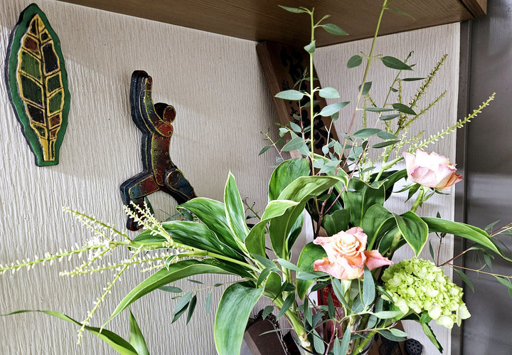 幸福の木ドラセナ