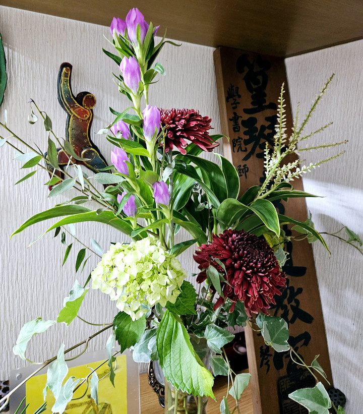 Bhkti ムーンディ