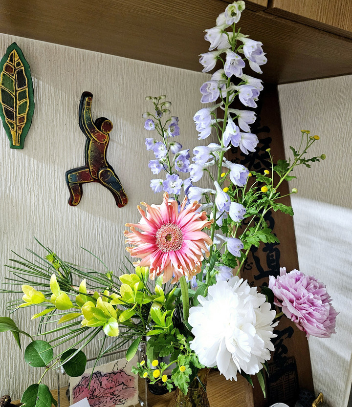 梅雨と向き合う