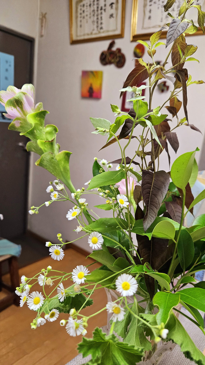 宇宙のバランスと調和する人って、、、