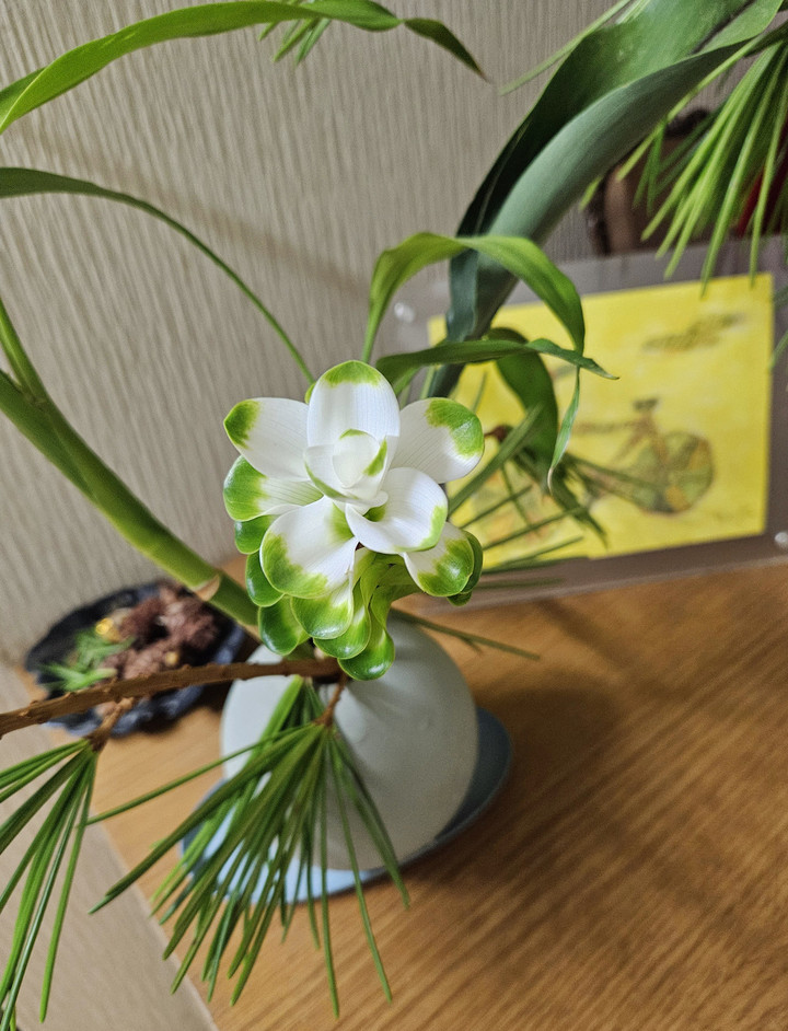 本日21日のエルグ