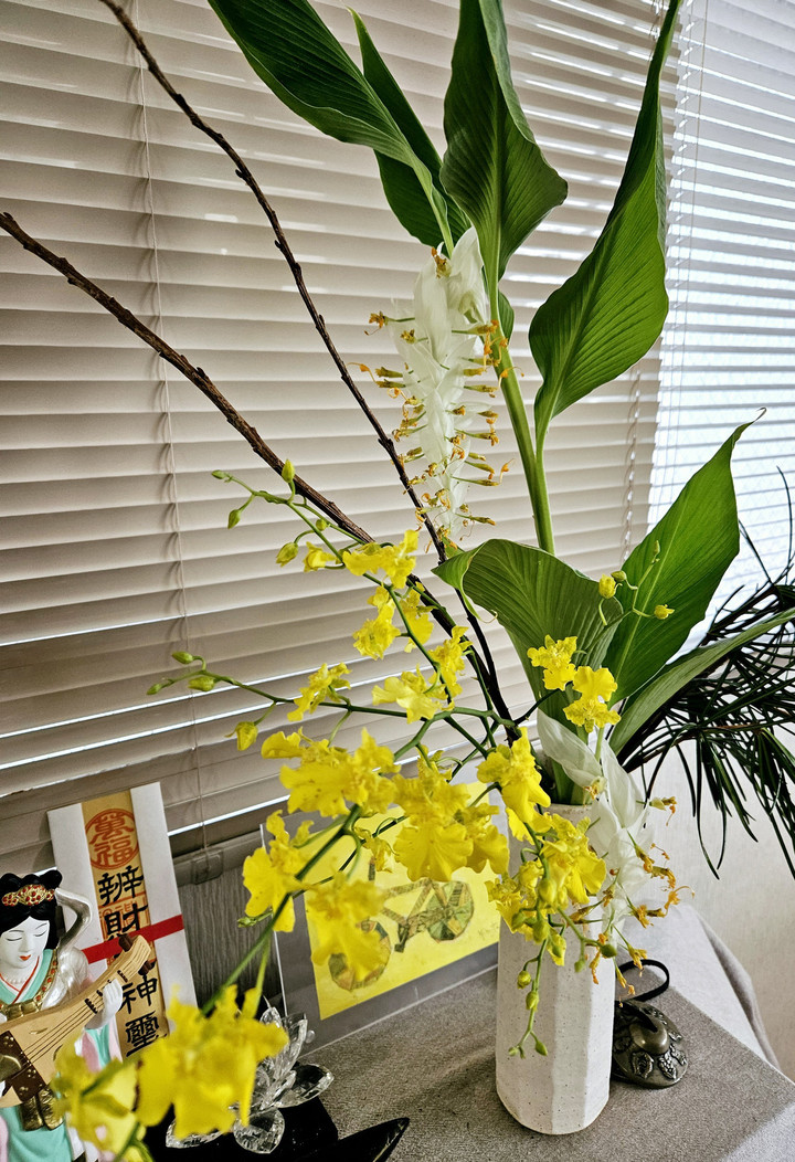 過日✴19日(日)修行