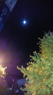 眠ってしまった(-_-)zz