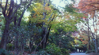 追加m(__)m <br />
ムーンディの東京日記