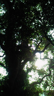 2012 平安を祈って