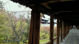大好きな東福寺