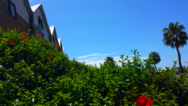 ヘアカットしてよかった(^^)