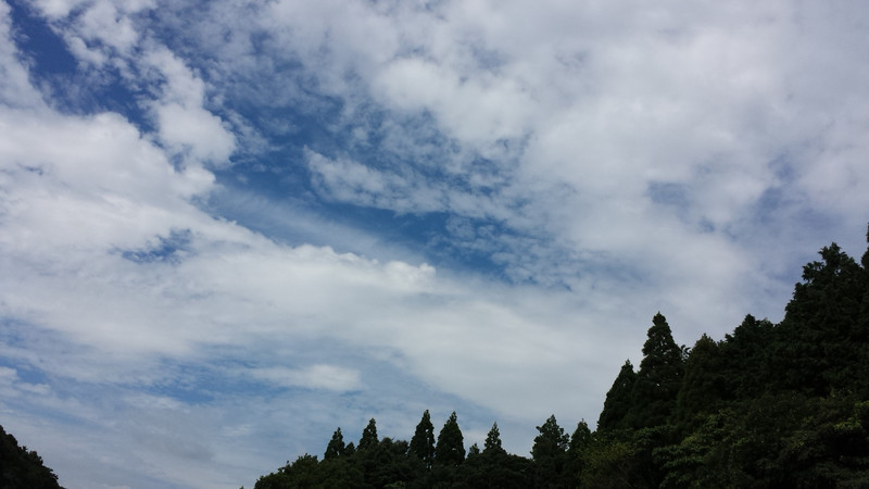 おかげさまで