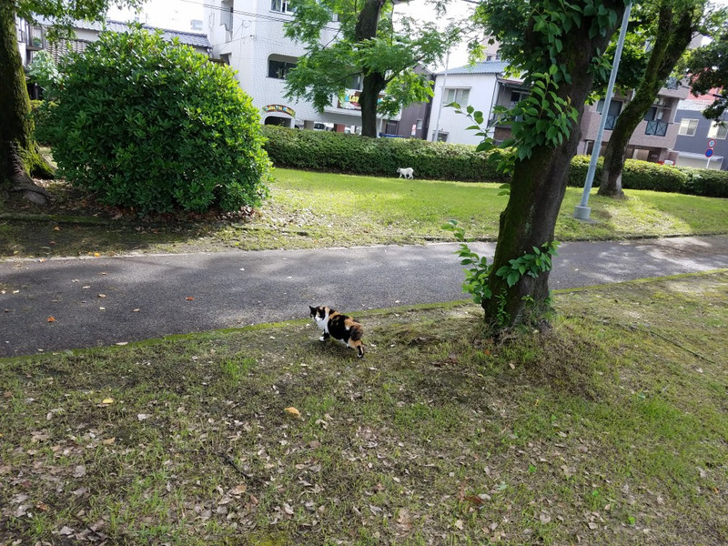 6月10日