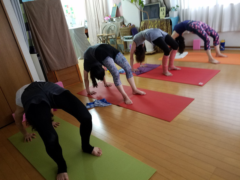 水曜バンブー エルグ