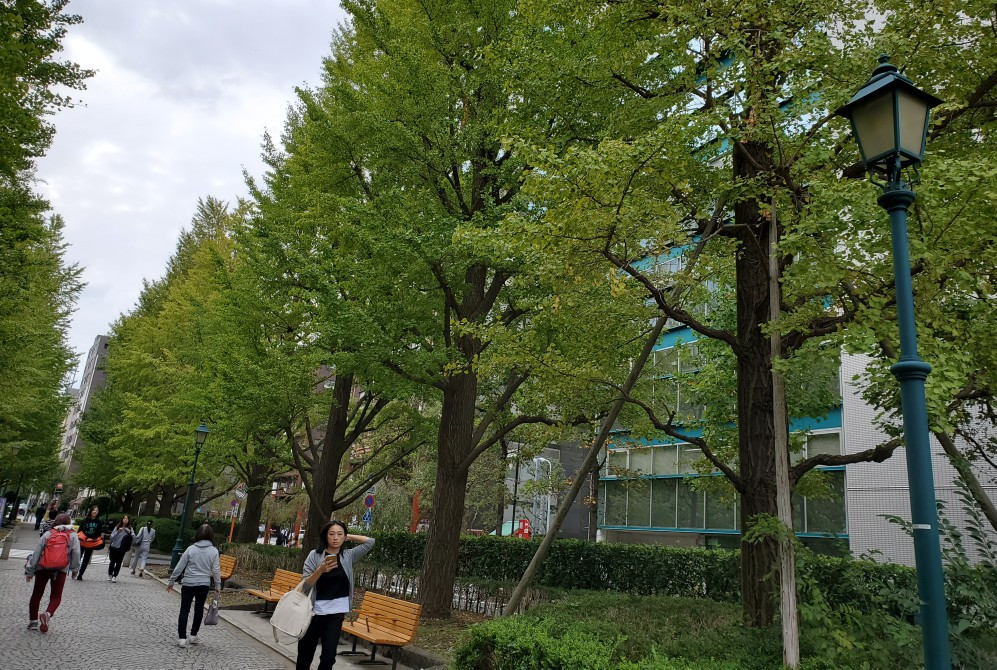 神聖な知識と最高の智恵