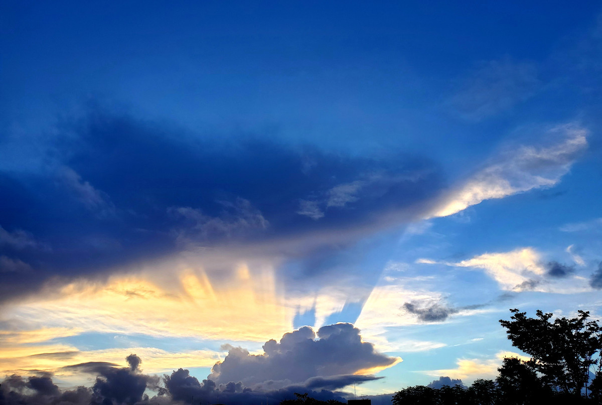 今朝の迫力空