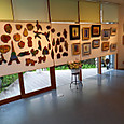 米田安希先生　個展
