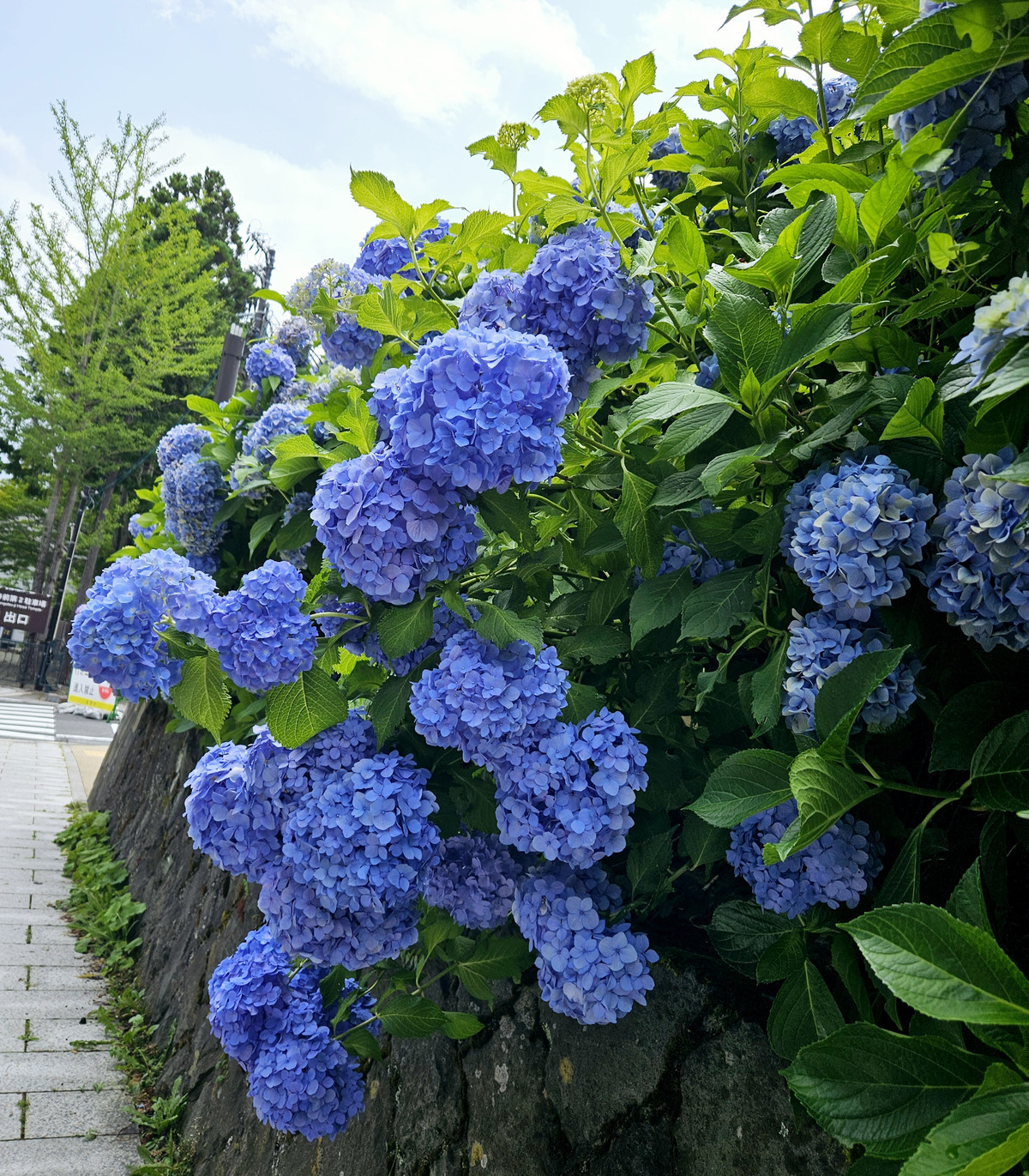 来月の休み