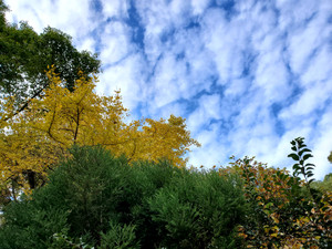 20201211_161640_2