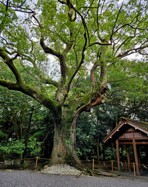 20251020_143012_4 20251020_143012_4