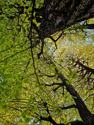 20251129_072913 20251129_072913