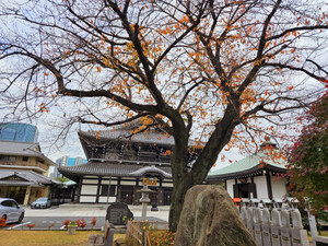 20251129_135700 20251129_135700