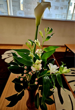 20260110_164042 20260110_164042