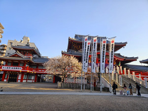 20260322_070025 20260322_070025