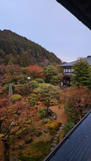 20260323_061858 20260323_061858