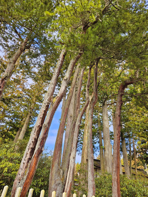 20260323_104107_2 20260323_104107_2